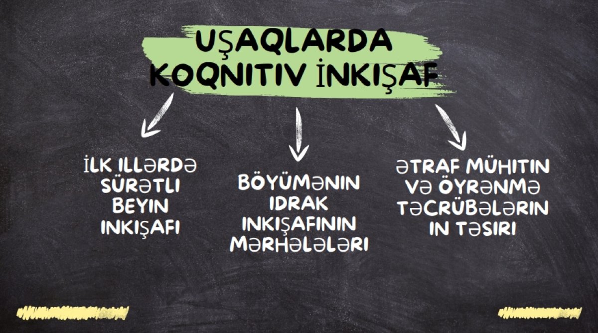 Mətn və təqdimatların hazrlanması