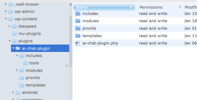 WordPress üçün xüsusi custom plugin hazırlayıram