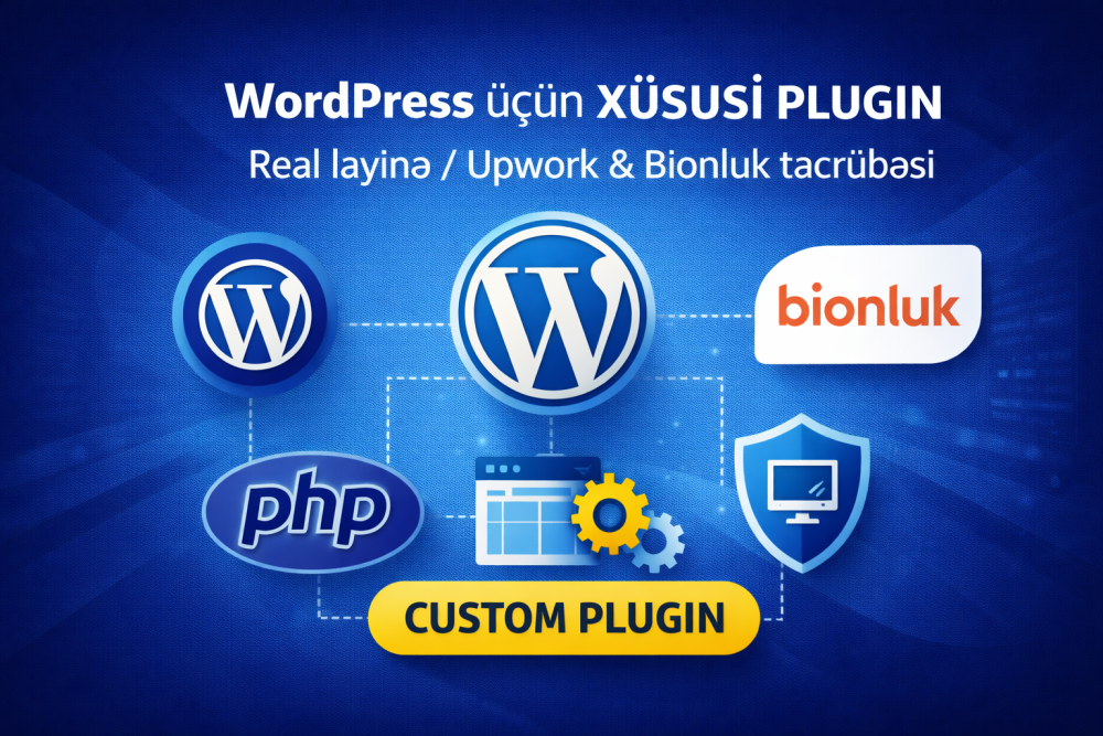Real müştəri üçün WordPress custom plugin layihəsi